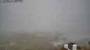 ./images/calvert/lookout/20260411/lookout20260411_095501M.jpg