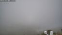 ./images/calvert/lookout/20260411/lookout20260411_101001M.jpg