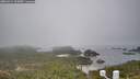 ./images/calvert/lookout/20260411/lookout20260411_103001M.jpg