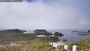 ./images/calvert/lookout/20260411/lookout20260411_114001M.jpg