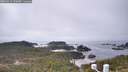 ./images/calvert/lookout/20260411/lookout20260411_142001M.jpg