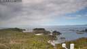 ./images/calvert/lookout/20260412/lookout20260412_102001M.jpg