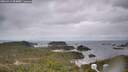 ./images/calvert/lookout/20260413/lookout20260413_094002M.jpg