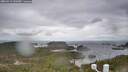 ./images/calvert/lookout/20260413/lookout20260413_142002M.jpg