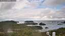 ./images/calvert/lookout/20260414/lookout20260414_115001M.jpg