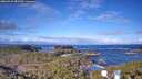 ./images/calvert/lookout/20260415/lookout20260415_082501M.jpg