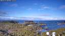 ./images/calvert/lookout/20260415/lookout20260415_083002M.jpg