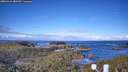 ./images/calvert/lookout/20260415/lookout20260415_083501M.jpg