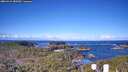 ./images/calvert/lookout/20260415/lookout20260415_085502M.jpg