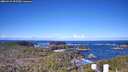 ./images/calvert/lookout/20260415/lookout20260415_092501M.jpg