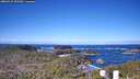 ./images/calvert/lookout/20260415/lookout20260415_093501M.jpg