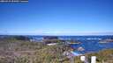 ./images/calvert/lookout/20260415/lookout20260415_094501M.jpg
