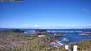 ./images/calvert/lookout/20260415/lookout20260415_100001M.jpg