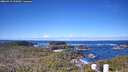 ./images/calvert/lookout/20260415/lookout20260415_100501M.jpg