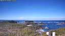 ./images/calvert/lookout/20260415/lookout20260415_101001M.jpg