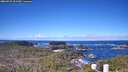 ./images/calvert/lookout/20260415/lookout20260415_101501M.jpg