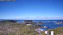 ./images/calvert/lookout/20260415/lookout20260415_102002M.jpg