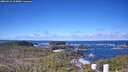 ./images/calvert/lookout/20260415/lookout20260415_103001M.jpg