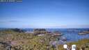 ./images/calvert/lookout/20260416/lookout20260416_083001M.jpg