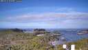 ./images/calvert/lookout/20260416/lookout20260416_091002M.jpg