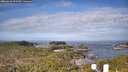 ./images/calvert/lookout/20260416/lookout20260416_091501M.jpg