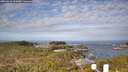 ./images/calvert/lookout/20260416/lookout20260416_092001M.jpg