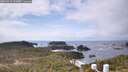 ./images/calvert/lookout/20260416/lookout20260416_133001M.jpg