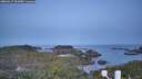 ./images/calvert/lookout/20260417/lookout20260417_062002M.jpg