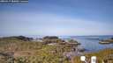 ./images/calvert/lookout/20260417/lookout20260417_083001M.jpg