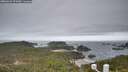 ./images/calvert/lookout/20260421/lookout20260421_075501M.jpg