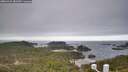 ./images/calvert/lookout/20260421/lookout20260421_081501M.jpg