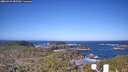 ./images/calvert/lookout/20260422/lookout20260422_085501M.jpg