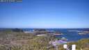 ./images/calvert/lookout/20260422/lookout20260422_093001M.jpg