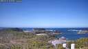 ./images/calvert/lookout/20260422/lookout20260422_102501M.jpg