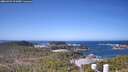 ./images/calvert/lookout/20260422/lookout20260422_111001M.jpg