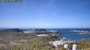 ./images/calvert/lookout/20260422/lookout20260422_114501M.jpg