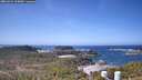 ./images/calvert/lookout/20260422/lookout20260422_115001M.jpg