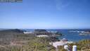 ./images/calvert/lookout/20260422/lookout20260422_122001M.jpg