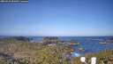 ./images/calvert/lookout/20260423/lookout20260423_081001M.jpg