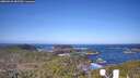 ./images/calvert/lookout/20260423/lookout20260423_085501M.jpg