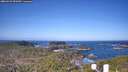 ./images/calvert/lookout/20260423/lookout20260423_090501M.jpg
