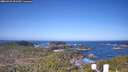./images/calvert/lookout/20260423/lookout20260423_091501M.jpg