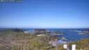 ./images/calvert/lookout/20260423/lookout20260423_093001M.jpg
