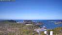 ./images/calvert/lookout/20260423/lookout20260423_101501M.jpg