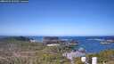 ./images/calvert/lookout/20260423/lookout20260423_102501M.jpg
