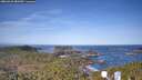 ./images/calvert/lookout/20260425/lookout20260425_082501M.jpg