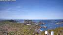 ./images/calvert/lookout/20260425/lookout20260425_083001M.jpg