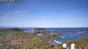 ./images/calvert/lookout/20260425/lookout20260425_083501M.jpg