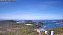 ./images/calvert/lookout/20260425/lookout20260425_112501M.jpg