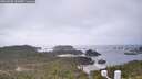 ./images/calvert/lookout/20260426/lookout20260426_141002M.jpg